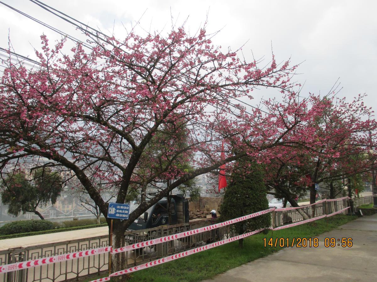 Tinh Doi Sa Pa Guest House 외부 사진